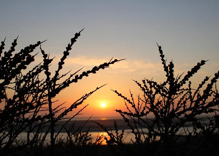 Wohnung2 * 博尔库姆